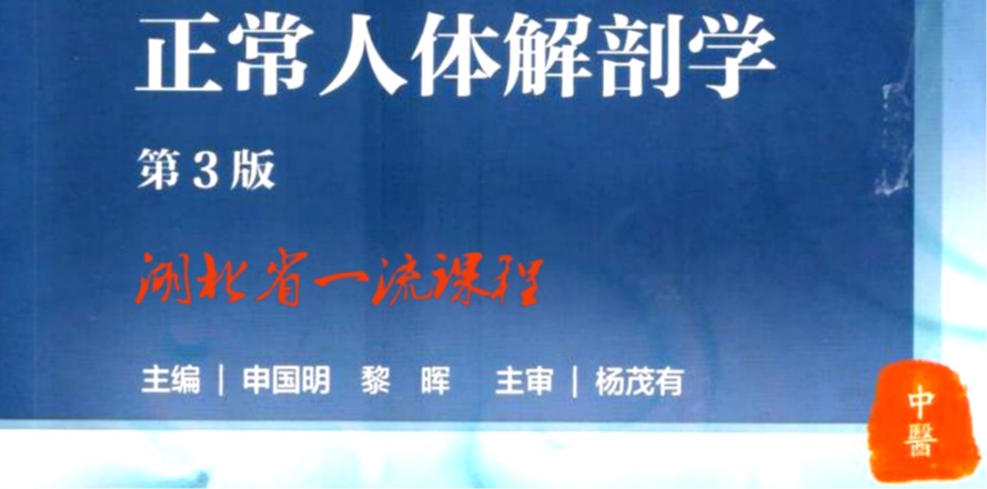 正常人體解剖學(xué)