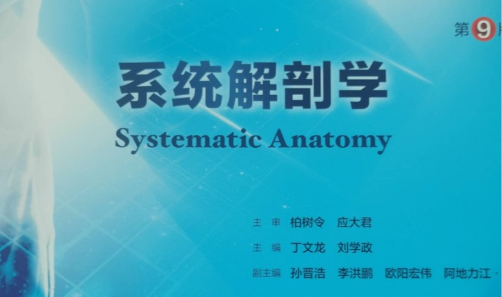 系統(tǒng)解剖學(xué)