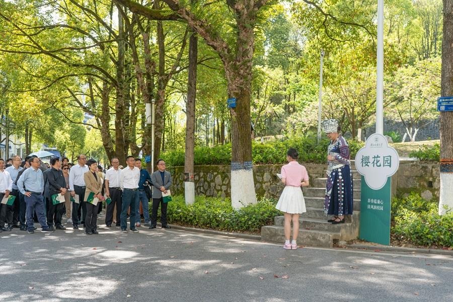 湖北民族大學(xué)開講“茶廉文化”思政大課